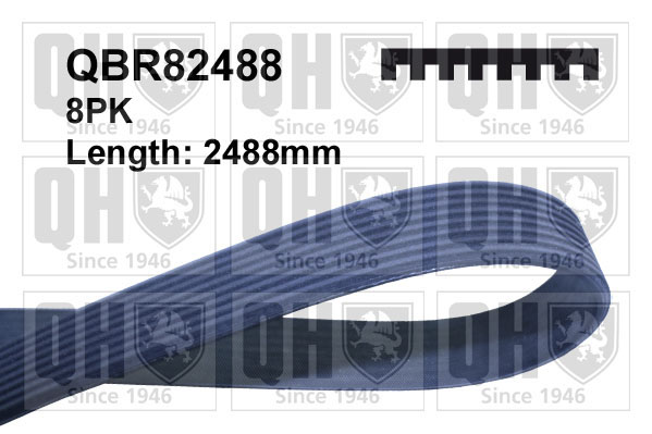 QUINTON HAZELL QBR82488 Ιμάντας poly-V for JEEP
