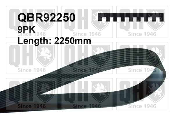 QUINTON HAZELL QBR92250 Ιμάντας poly-V for TOYOTA