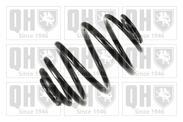 QUINTON HAZELL QCS6049 Suspension Spring Rear Axle for CHEVROLET DAEWOO