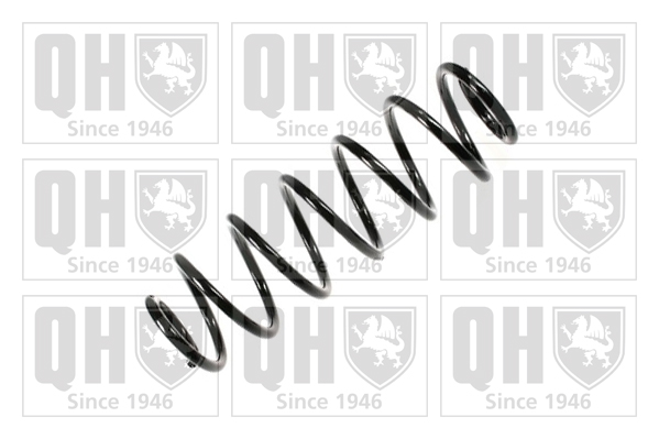 QUINTON HAZELL QCS6787 Suspension Spring Rear Axle for FIAT