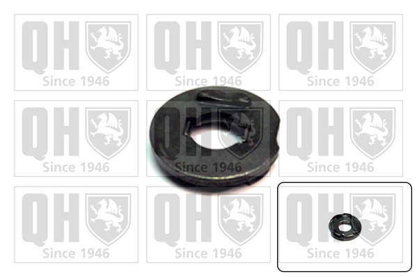 QUINTON HAZELL QRK100B Pressure Disc, spring shackle