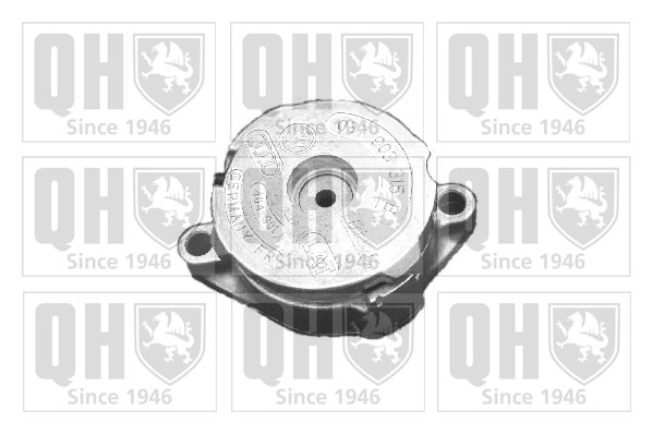 QUINTON HAZELL QTA894S Τεντωτήρας ιμάντα, ιμάντας poly-V for SEAT VW
