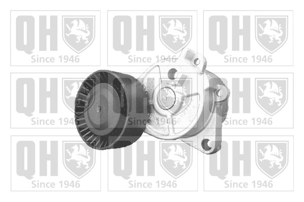QUINTON HAZELL QTA918 Τεντωτήρας ιμάντα, ιμάντας poly-V for BMW