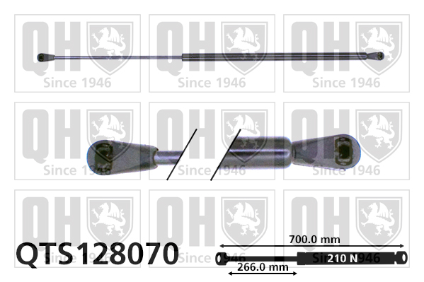 QUINTON HAZELL QTS128070 Gas Spring, boot/cargo area for RENAULT