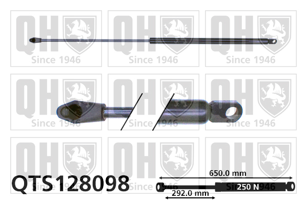 QUINTON HAZELL QTS128098 Gas Spring, boot/cargo area for CITROËN