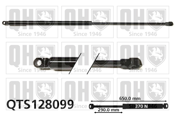 QUINTON HAZELL QTS128099 Gas Spring, boot/cargo area for CITROËN