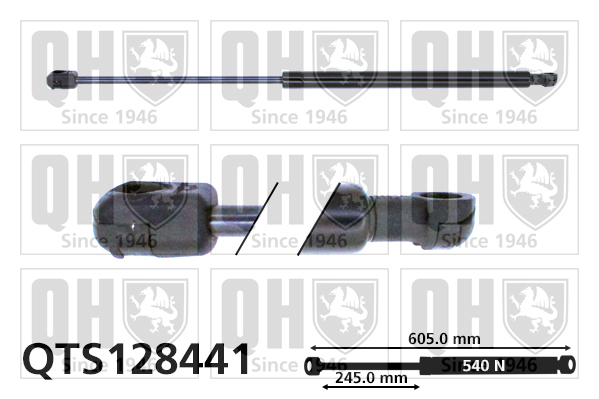 QUINTON HAZELL QTS128441 Gas Spring, boot/cargo area for ROVER