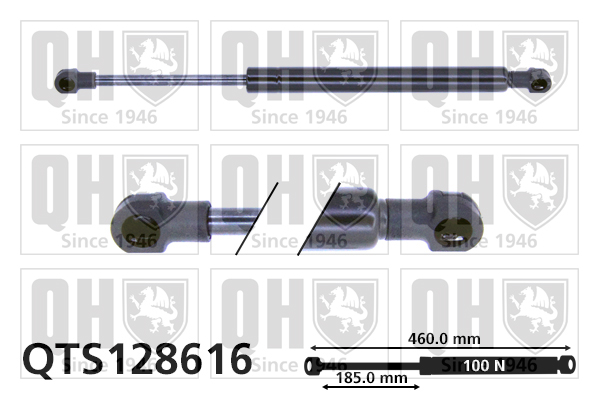 QUINTON HAZELL QTS128616 Gas Spring, rear window for RENAULT