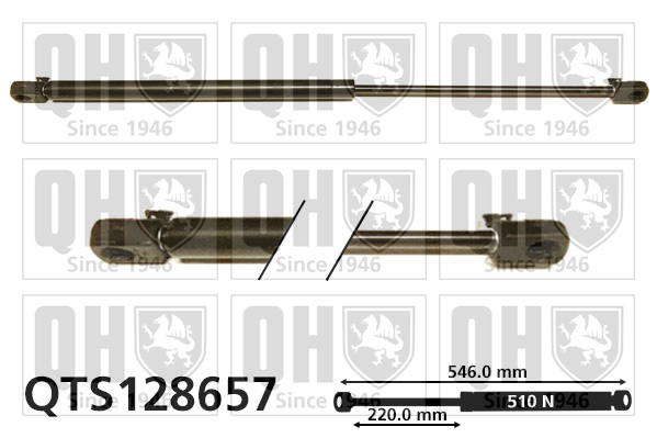 QUINTON HAZELL QTS128657 Gas Spring, boot/cargo area