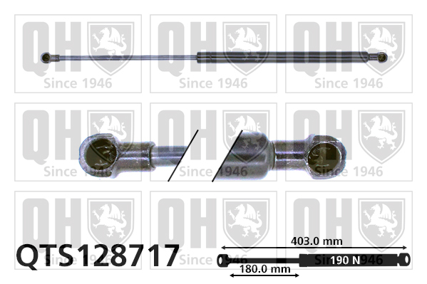 QUINTON HAZELL QTS128717 Gas Spring, boot/cargo area for RENAULT