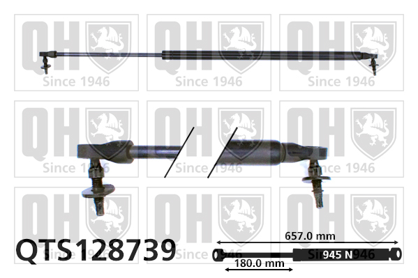 QUINTON HAZELL QTS128739 Gas Spring, boot/cargo area for CHRYSLER