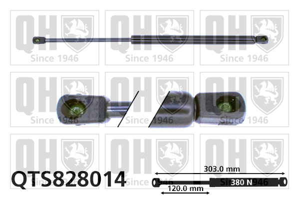 QUINTON HAZELL QTS828014 Gas Spring, bonnet for AUDI