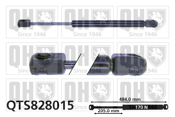 QUINTON HAZELL QTS828015 Gas Spring, bonnet for AUDI