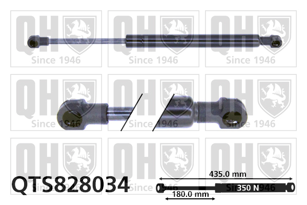 QUINTON HAZELL QTS828034 Gas Spring, boot/cargo area for ABARTH FIAT