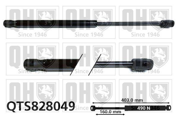 QUINTON HAZELL QTS828049 Gas Spring, boot/cargo area for KIA
