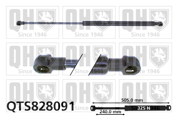 QUINTON HAZELL QTS828091 Gas Spring, boot/cargo area for RENAULT