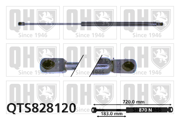 QUINTON HAZELL QTS828120 Gas Spring, boot/cargo area for VW