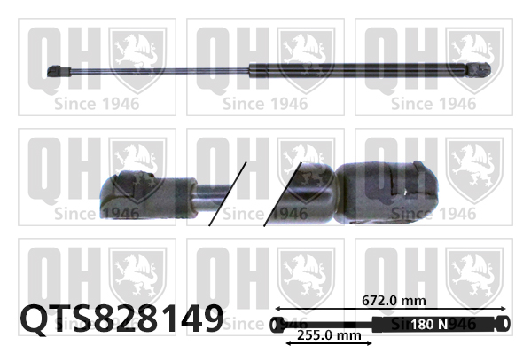 QUINTON HAZELL QTS828149 Gas Spring, bonnet for BMW