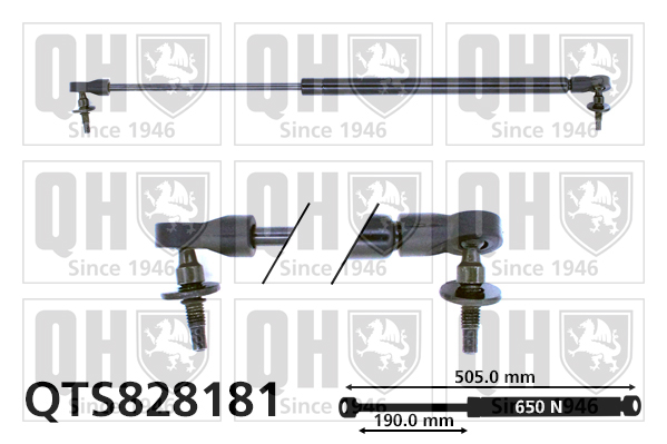 QUINTON HAZELL QTS828181 Gas Spring, boot/cargo area for JEEP