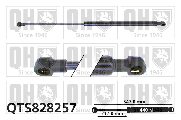 QUINTON HAZELL QTS828257 Gas Spring, boot/cargo area for CITROËN