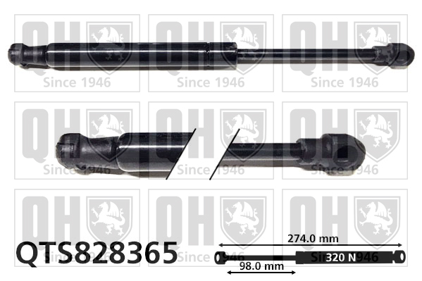 QUINTON HAZELL QTS828365 Gas Spring, boot/cargo area for ROVER