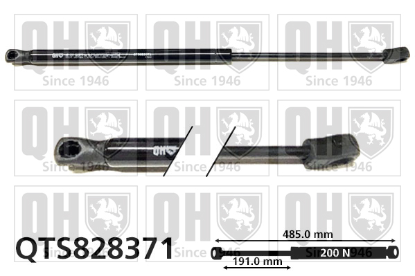QUINTON HAZELL QTS828371 Gas Spring, rear window for FORD
