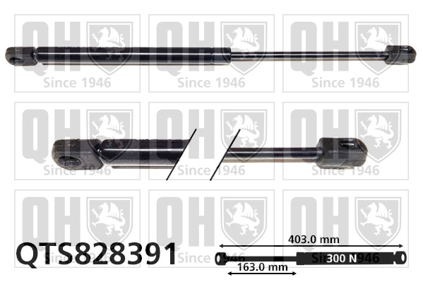 QUINTON HAZELL QTS828391 Gas Spring, boot/cargo area for LAND ROVER