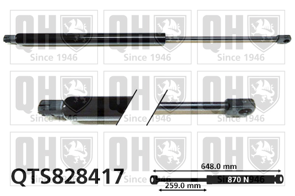 QUINTON HAZELL QTS828417 Gas Spring, boot/cargo area for FORD