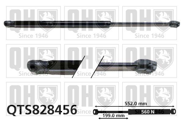 QUINTON HAZELL QTS828456 Gas Spring, boot/cargo area for AUDI
