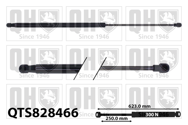 QUINTON HAZELL QTS828466 Gas Spring, bonnet