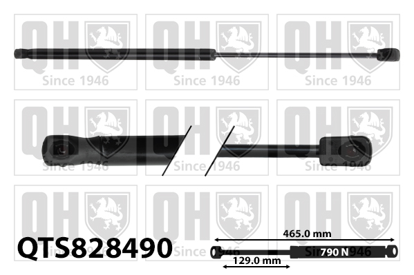 QUINTON HAZELL QTS828490 Gas Spring, boot/cargo area
