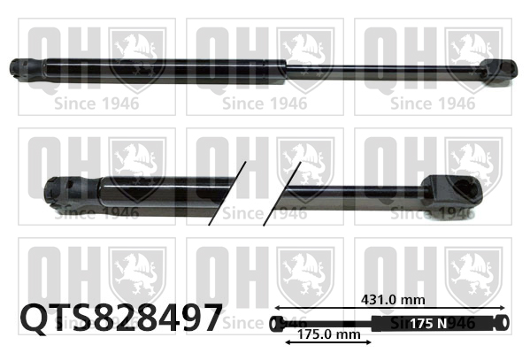 QUINTON HAZELL QTS828497 Gas Spring, bonnet for BMW