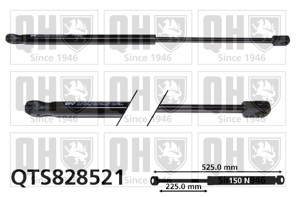 QUINTON HAZELL QTS828521 Αμορτισέρ αερίου, (πίσω καπό) for VW