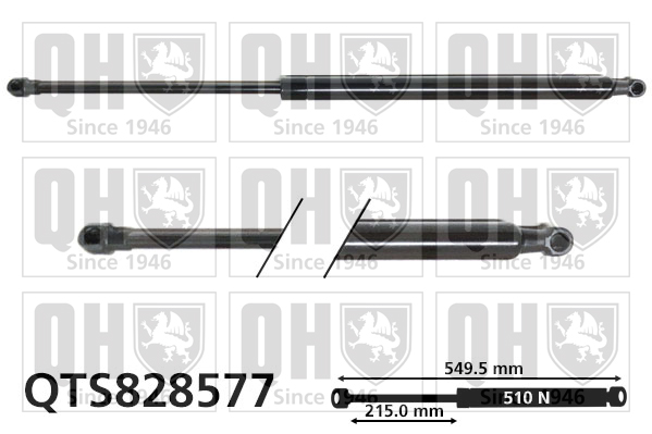 QUINTON HAZELL QTS828577 Gas Spring, boot/cargo area for RENAULT