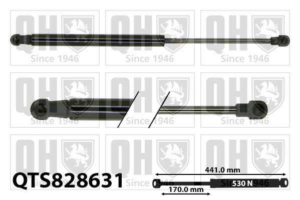 QUINTON HAZELL QTS828631 Gas Spring, boot/cargo area for TOYOTA