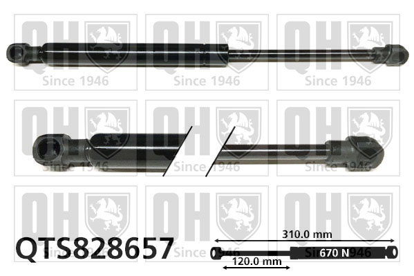 QUINTON HAZELL QTS828657 Gas Spring, door for RENAULT