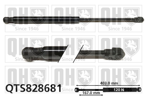QUINTON HAZELL QTS828681 Gas Spring, boot/cargo area for ALPINA BMW