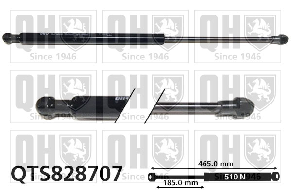 QUINTON HAZELL QTS828707 Gas Spring, boot/cargo area for RENAULT
