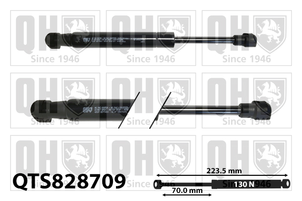 QUINTON HAZELL QTS828709 Αμορτισέρ αερίου (πορτμπαγκάζ/χώρος αποσκευών) for BMW