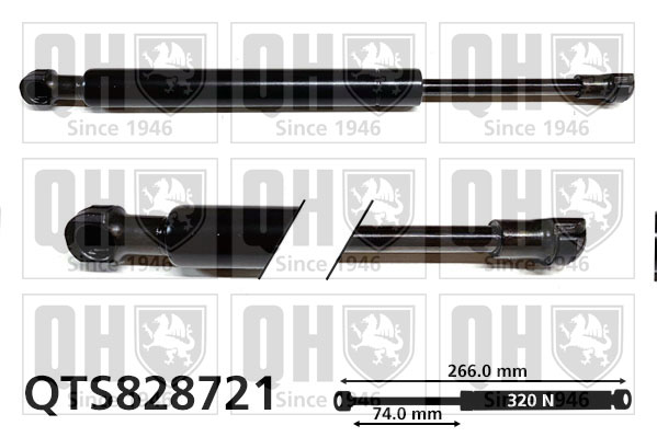 QUINTON HAZELL QTS828721 Αμορτισέρ αερίου (πορτμπαγκάζ/χώρος αποσκευών) for BMW