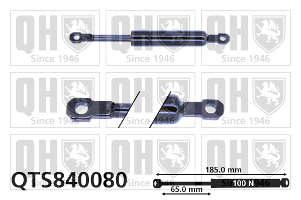 QUINTON HAZELL QTS840080 Gas Spring, foldaway table for FORD RENAULT