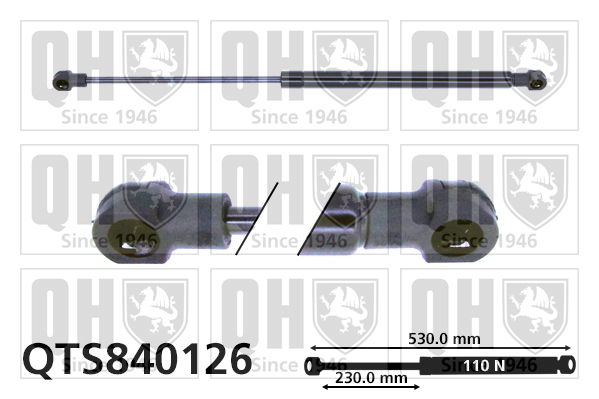 QUINTON HAZELL QTS840126 Αμορτισέρ αερίου, πίσω παρμπρίζ for RENAULT