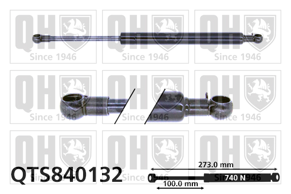 QUINTON HAZELL QTS840132 Gas Spring, boot/cargo area for AUDI