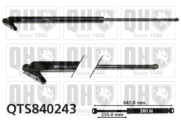 QUINTON HAZELL QTS840243 Gas Spring, boot/cargo area for MITSUBISHI