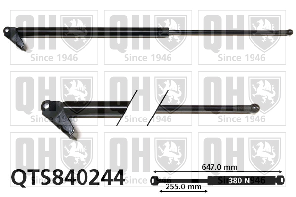 QUINTON HAZELL QTS840244 Gas Spring, boot/cargo area for MITSUBISHI