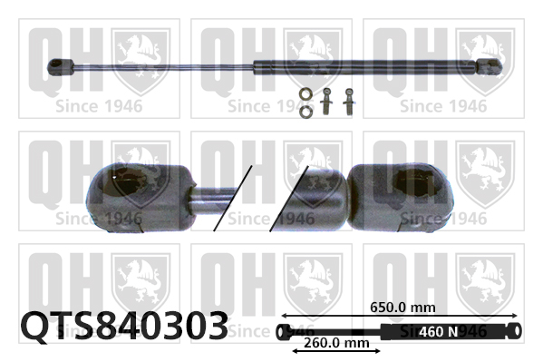QUINTON HAZELL QTS840303 Gas Spring, boot/cargo area for MITSUBISHI