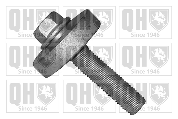 QUINTON HAZELL QTT1166B Βίδα τροχαλίας ιμάντα for DACIA INFINITI MERCEDES-BENZ NISSAN RENAULT