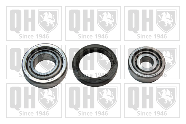 QUINTON HAZELL QWB317 Σετ ρουλεμάν τροχών for NISSAN