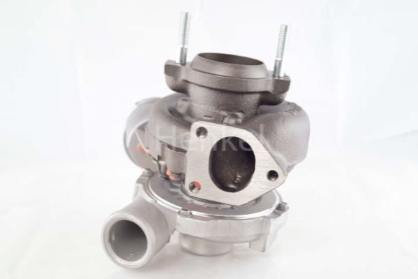 Henkel Parts 5110231R...