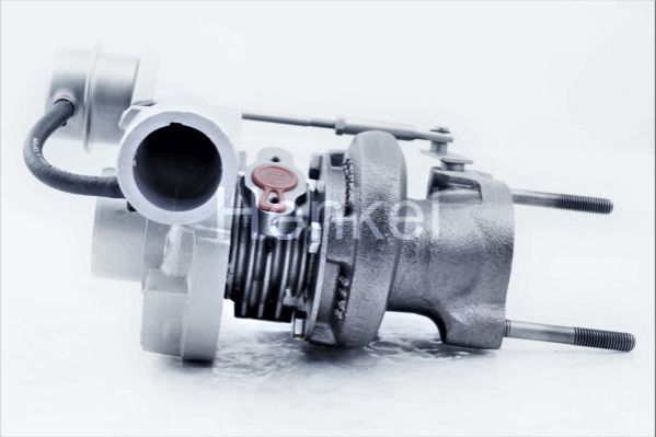 Henkel Parts 5110311R...